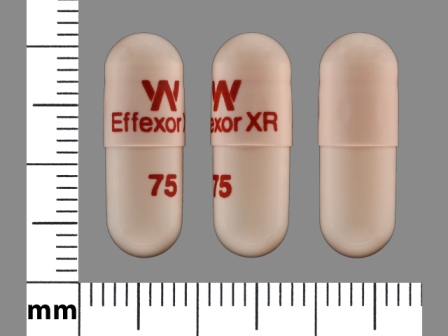EFFEXORXR 75: (59762-0181) Venlafaxine (As Venlafaxine Hydrochloride) 75 mg 24 Hr Extended Release Capsule by Remedyrepack Inc.