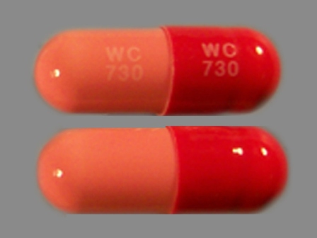 WC 730 : (60429-021) Amoxicillin 250 mg Oral Capsule by Golden State Medical Supply, Inc.