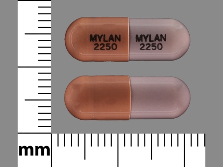 MYLAN 2250: (60429-059) Mycophenolate Mofetil 250 mg Oral Capsule by Golden State Medical Supply, Inc.
