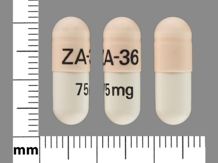 ZA 36 75 mg: (60429-122) Venlafaxine (As Venlafaxine Hydrochloride) 75 mg 24 Hr Extended Release Capsule by Golden State Medical Supply, Inc
