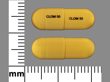 CLOM50: (60429-289) Clomipramine Hydrochloride 50 mg Oral Capsule by Golden State Medical Supply, Inc.