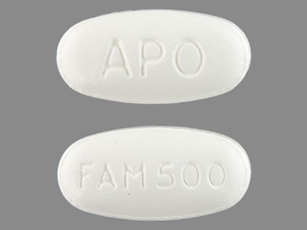APO FAM500: (60429-361) Famciclovir 500 mg Oral Tablet by Golden State Medical Supply, Inc.