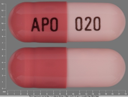 APO 020: (60505-0065) Omeprazole 20 mg Delayed Release Capsule by Apotex Corp