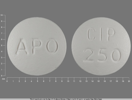 APO CIP 250: (60505-1308) Ciprofloxacin 250 mg (As Ciprofloxacin Hydrochloride 297 mg) Oral Tablet by Apotex Corp