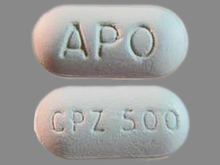 APO CPZ 500: (60505-2533) Cefprozil 500 mg Oral Tablet by Apotex Corp