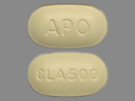CLA500 APO: (60505-2615) Clarithromycin 500 mg Oral Tablet by Apotex Corp