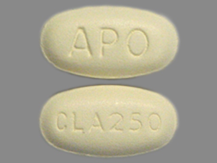 CLA250 APO: (60505-2616) Clarithromycin 250 mg Oral Tablet by Apotex Corp