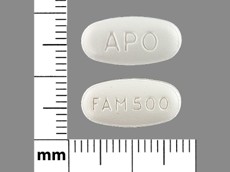 APO FAM500: (60687-103) Famciclovir 500 mg Oral Tablet, Film Coated by American Health Packaging