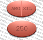Amoxil 250 mg Chewable Tablet Wyeth-Ayerst (Canada)